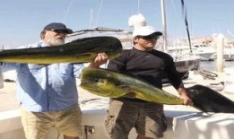 最新偷鱼爆料新闻,揭秘黑幕，渔民权益再受挑战